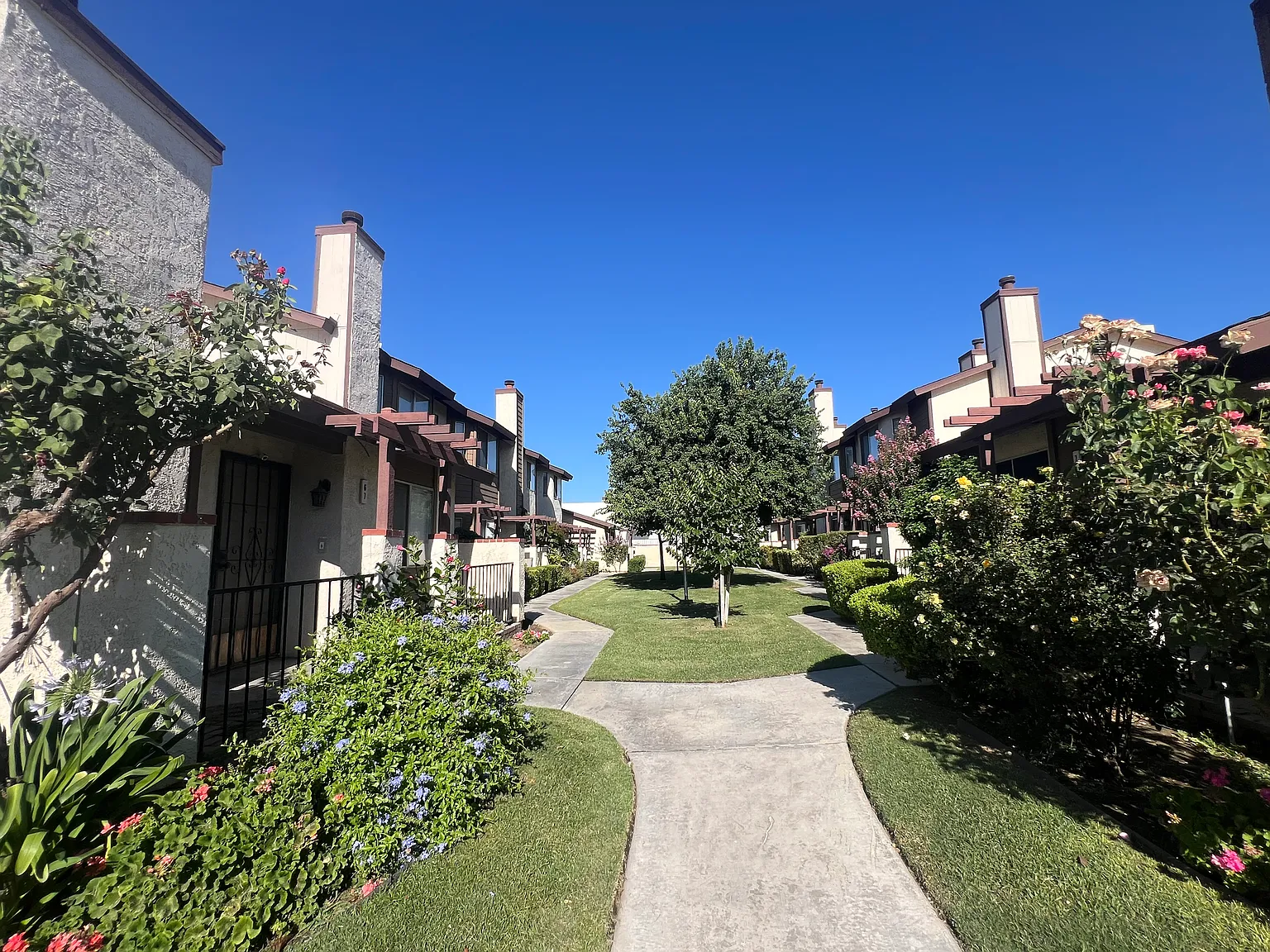 2 bed, 1.5 bath, 982 sqft, $1,600 — Photo 3