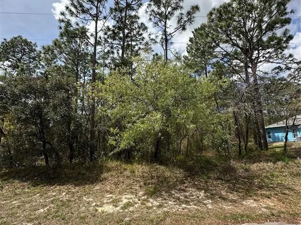 2 Fringetree Ct Lot 1, Homosassa, FL 34446