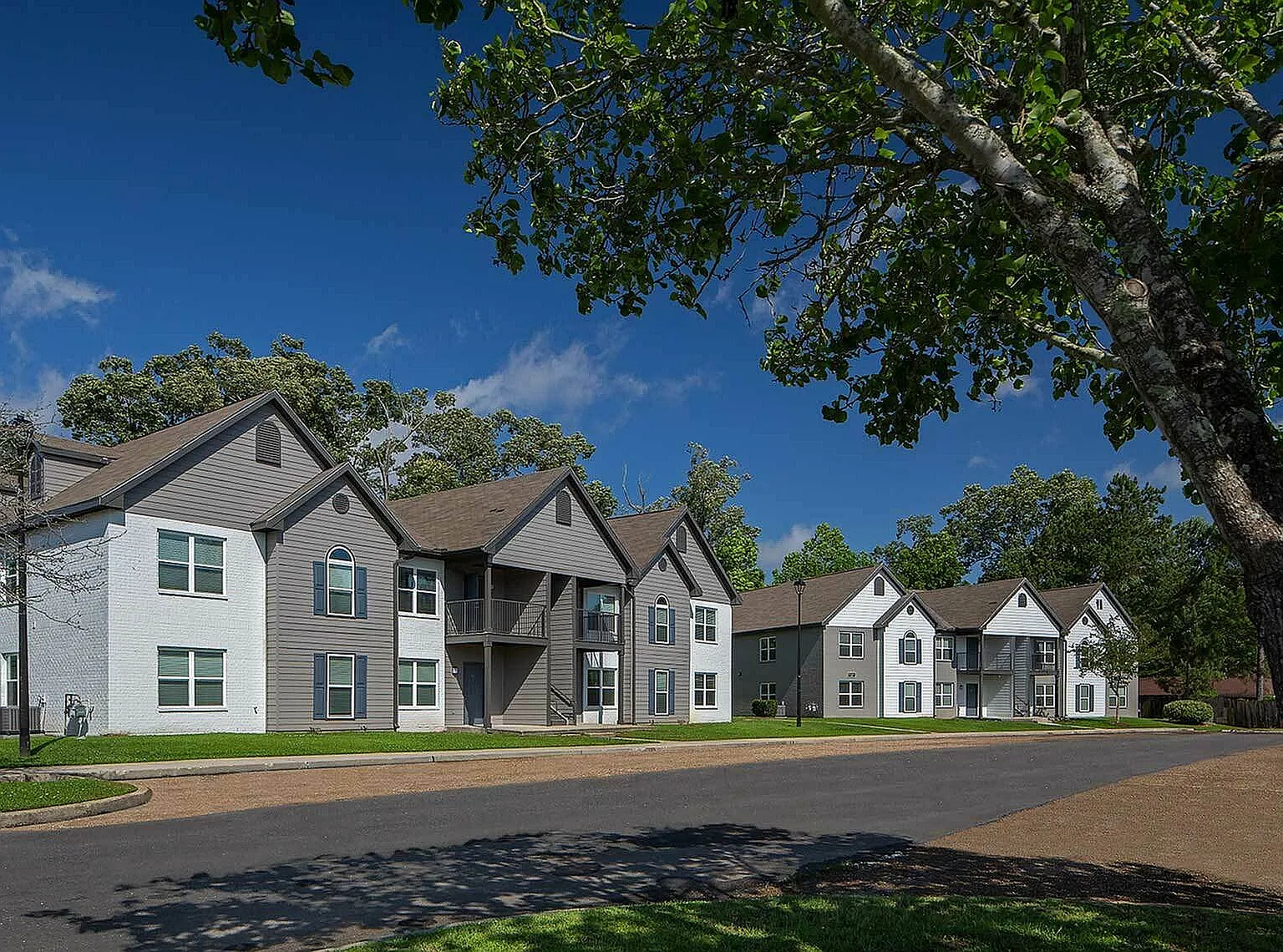 The Reserve At White Oak — Photo 2
