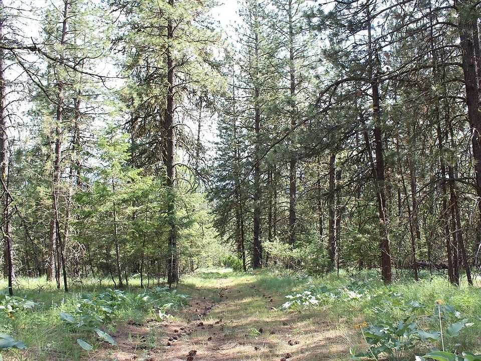 1st image of 10A Hoodoo Mountain