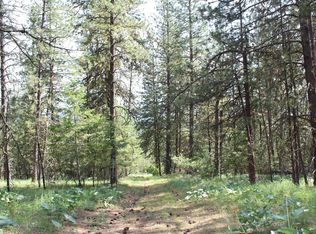 10A Hoodoo Mountain, Blanchard, ID 83804