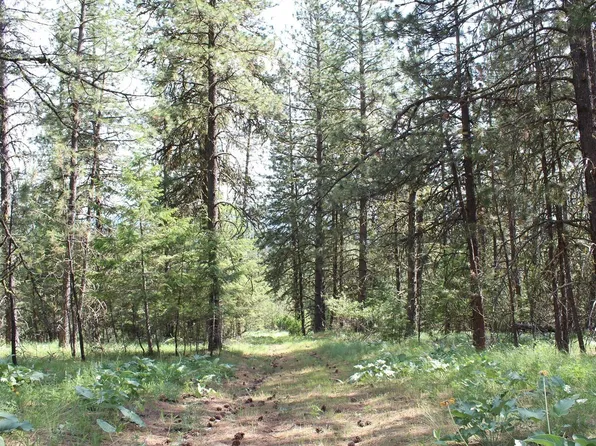 10A Hoodoo Mountain, Blanchard, ID 83804