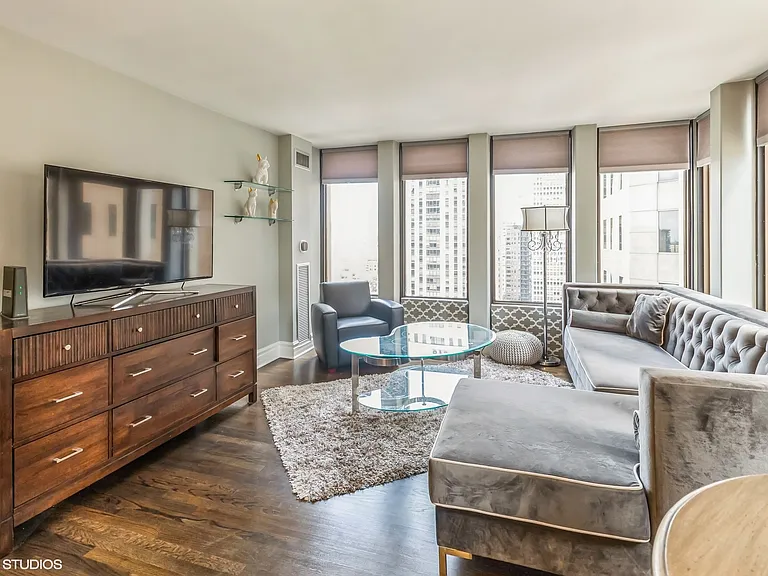100 E Walton St #20B — Photo 5