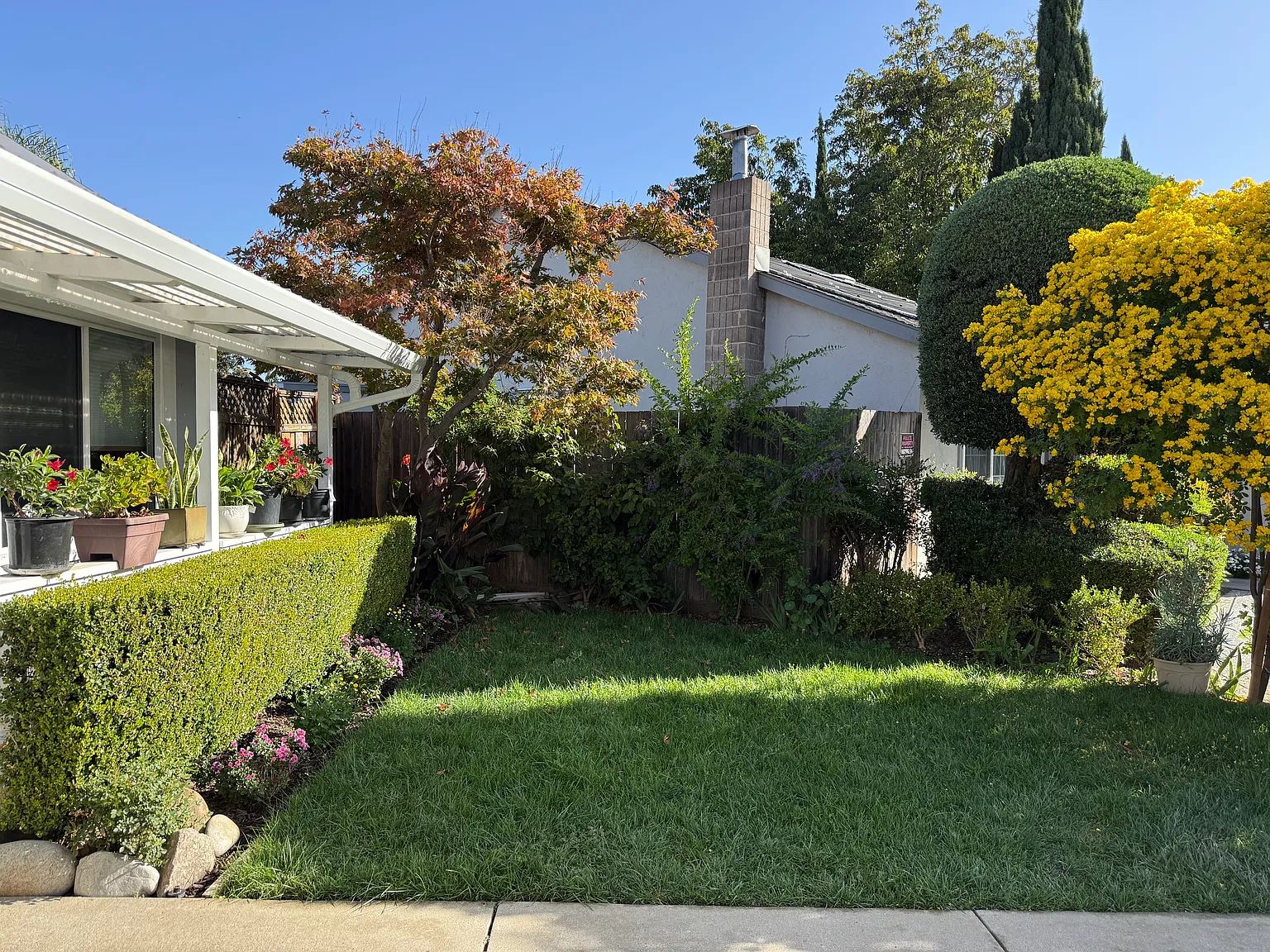 1 bed, 500 sqft, $2,900 — Photo 3