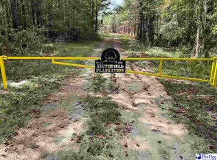 Aloha Dr, Marion, SC 29571