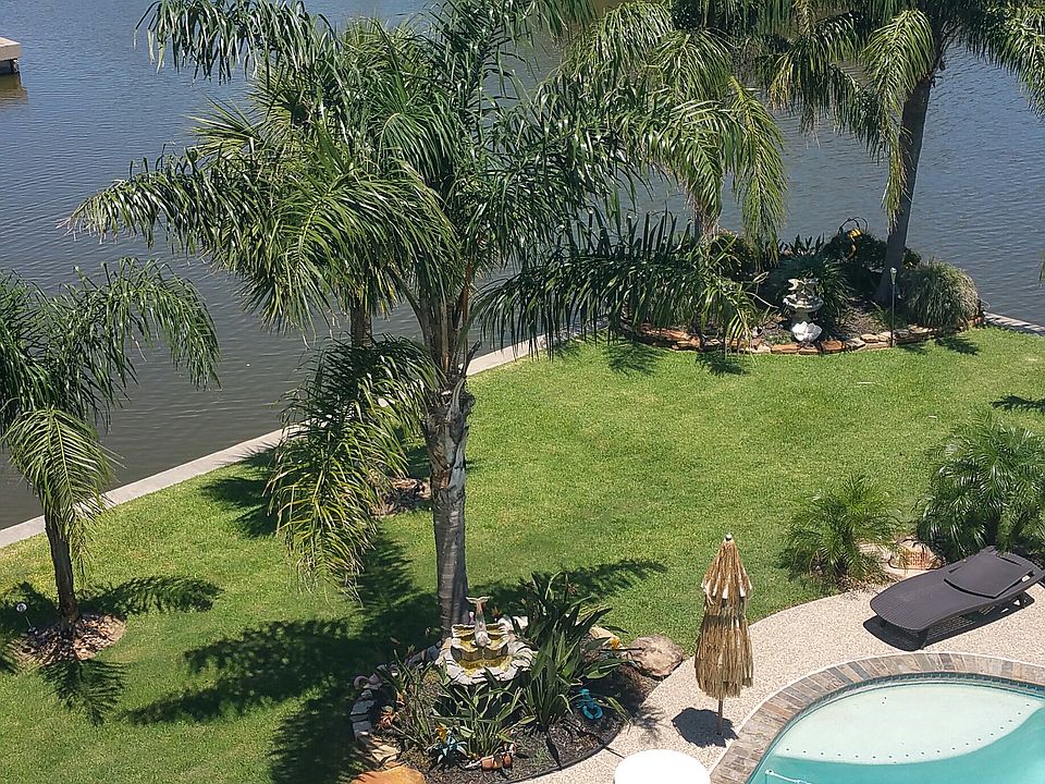 More than 15 palms added