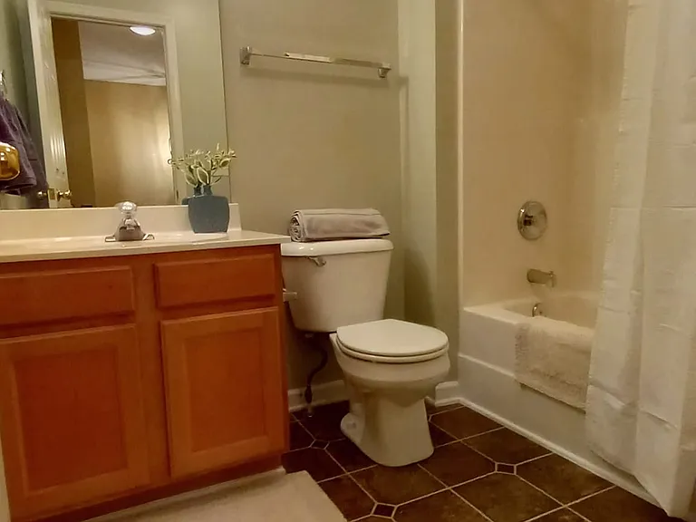 Guest private bathroom