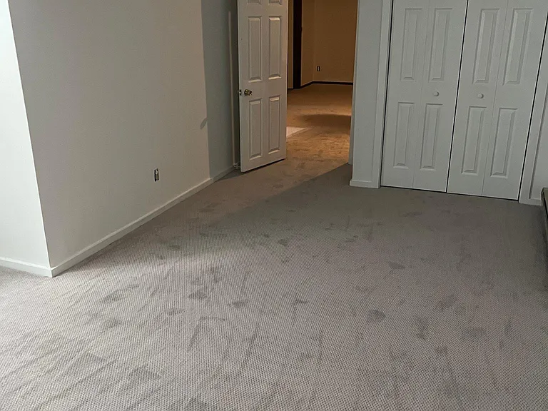 20 x 12 bedroom with original house beam; ceiling fan, new carpeting.