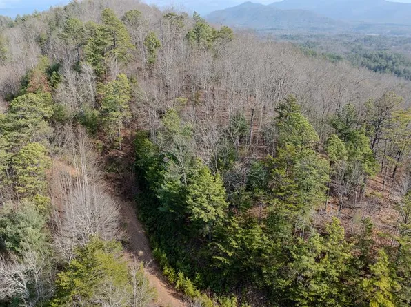 1.03 Deep Forest Road, Murphy, NC 28906