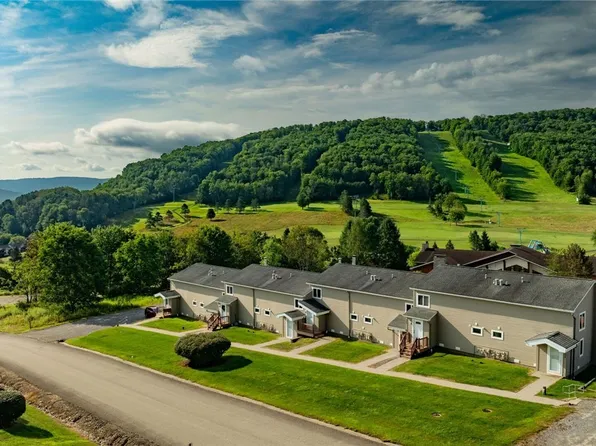 306 Deer Crossing Rd, Ellicottville, NY 14731