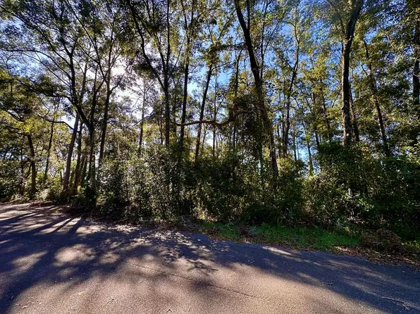 0000 NE Eleventh Ave, Trenton, FL 32693