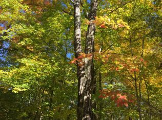 N6991 Olson Rd, Shingleton, MI 49884