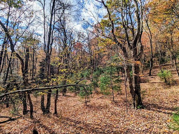 53rd image of this home