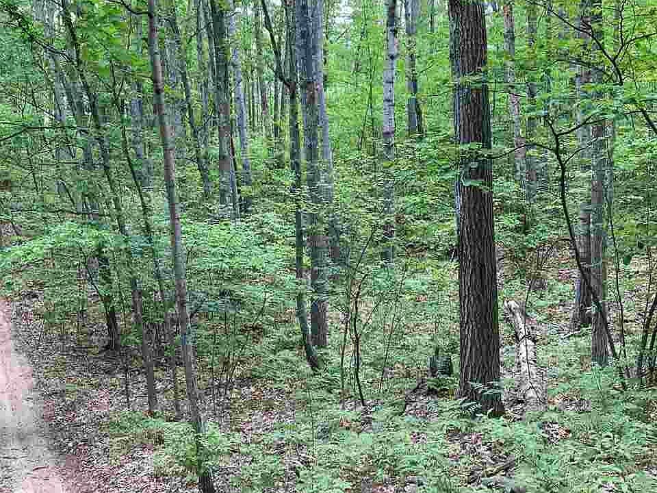 2nd image of Beechwood Dr