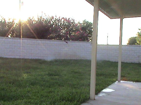 back yard
