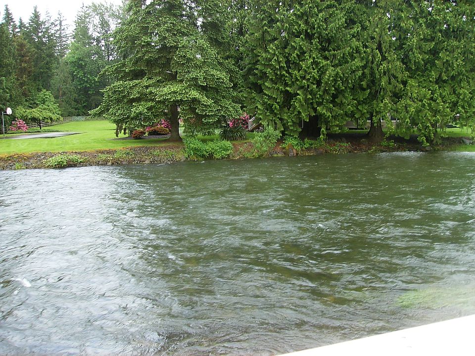 enjoy standing on your deck watching the salmon
