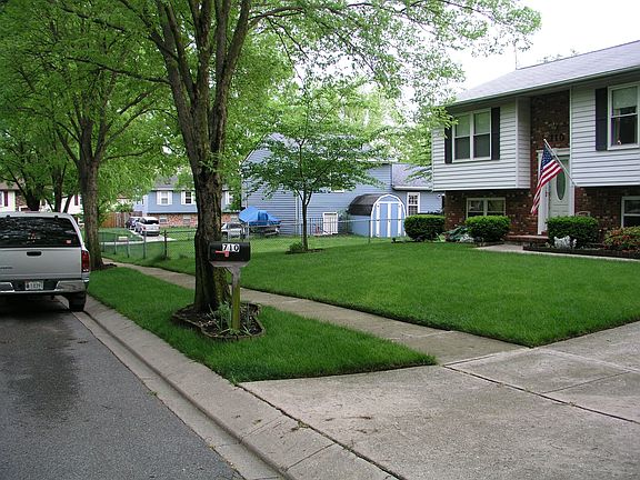 Street