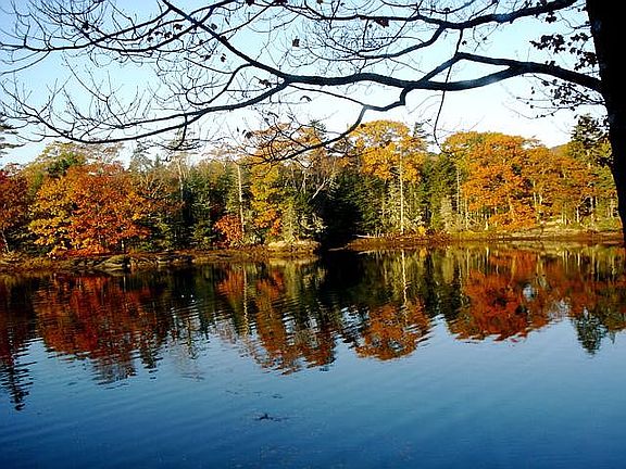 view from living room 