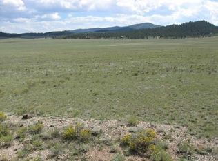 1091 Bolster Dr, Hartsel, CO 80449