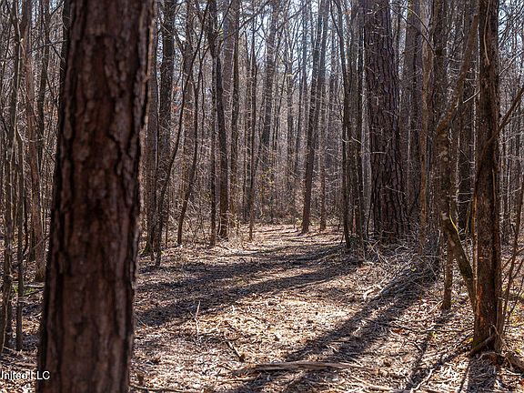 5th image of 0 Green Door Rd