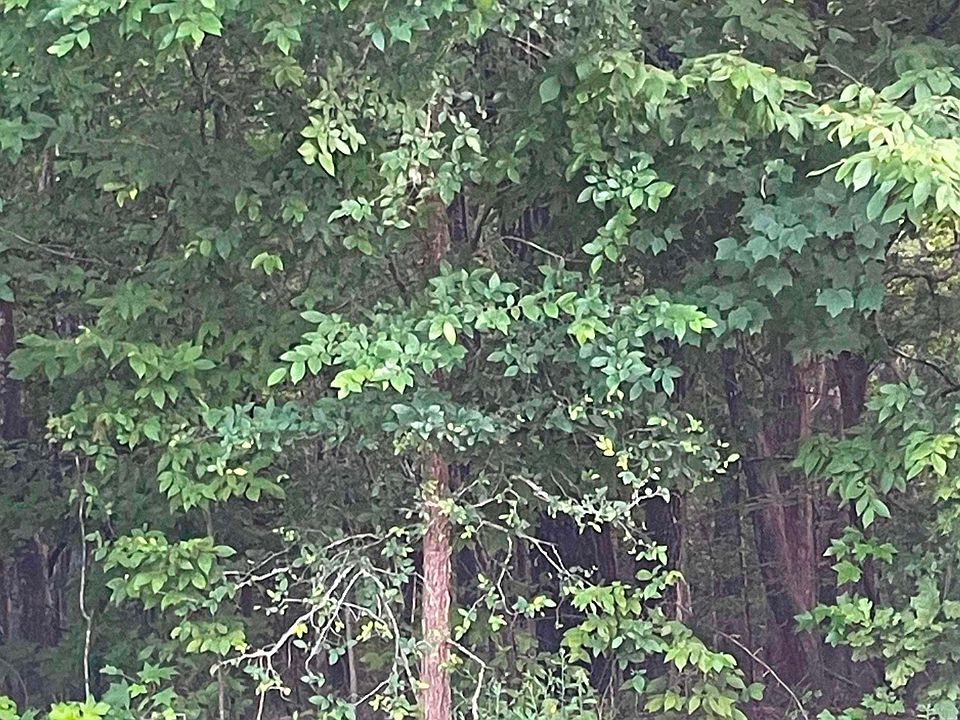 1st image of 11 Otter Trail Ct