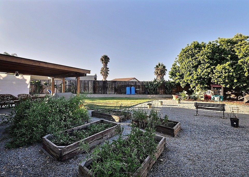 Veggies & Fruit Trees!