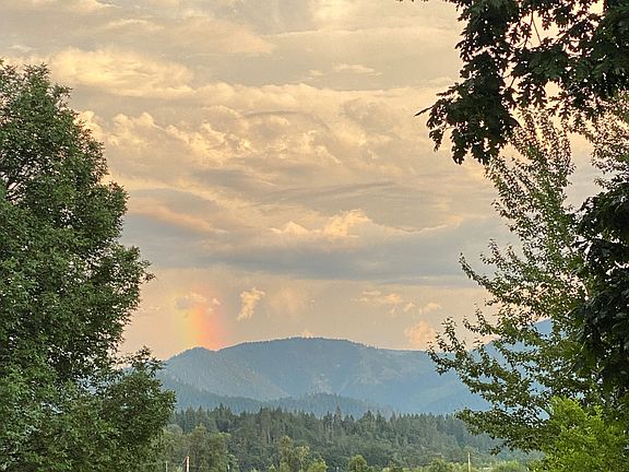 Early summer skies