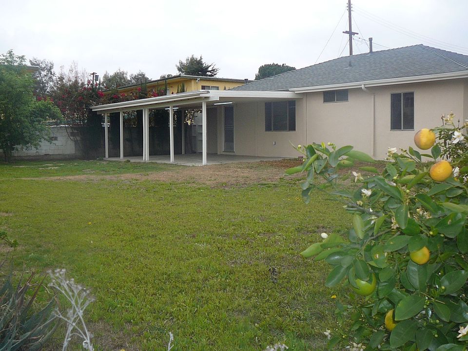 Big lawn and fruit trees