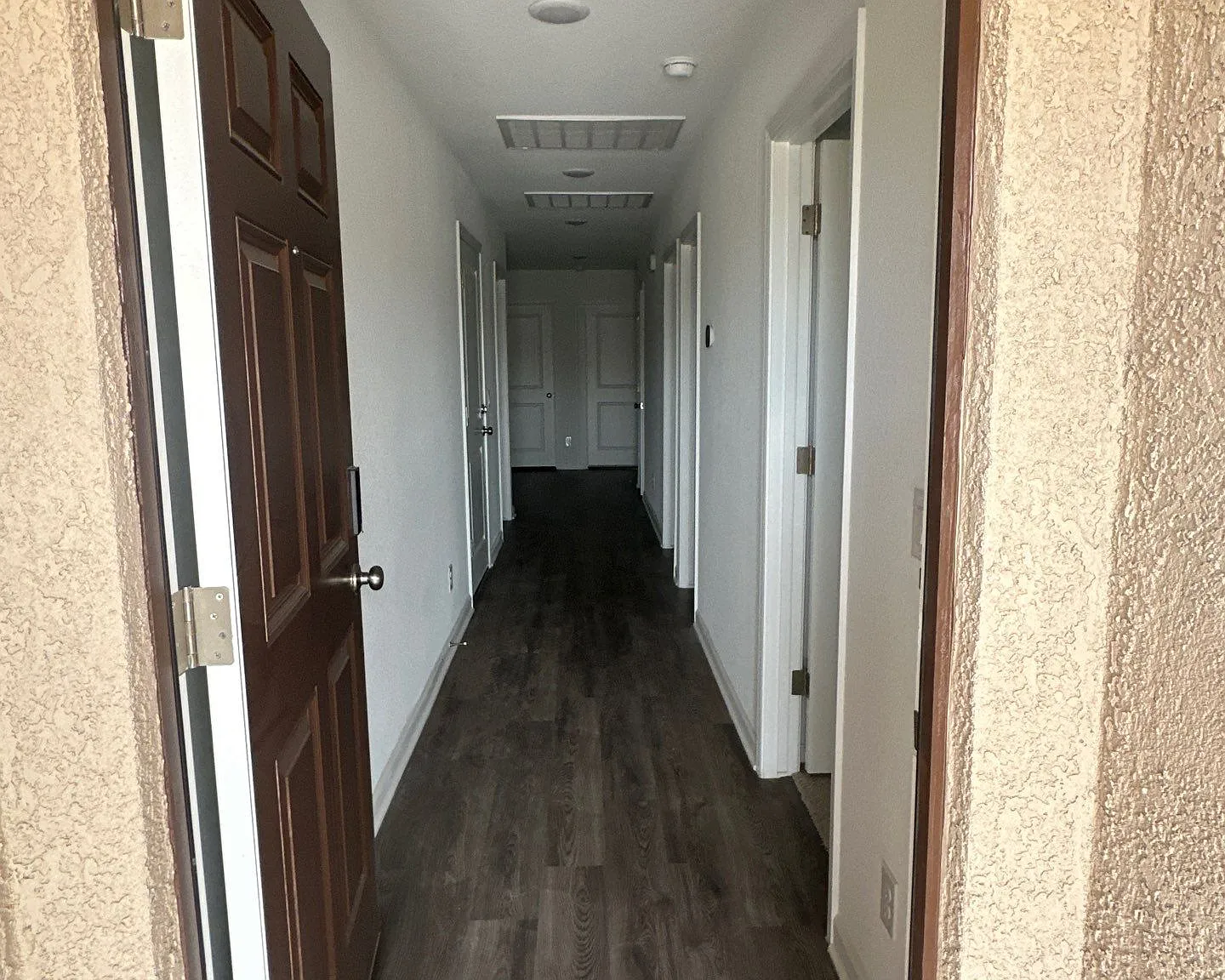 2428 Pesuna Dr — Photo 3