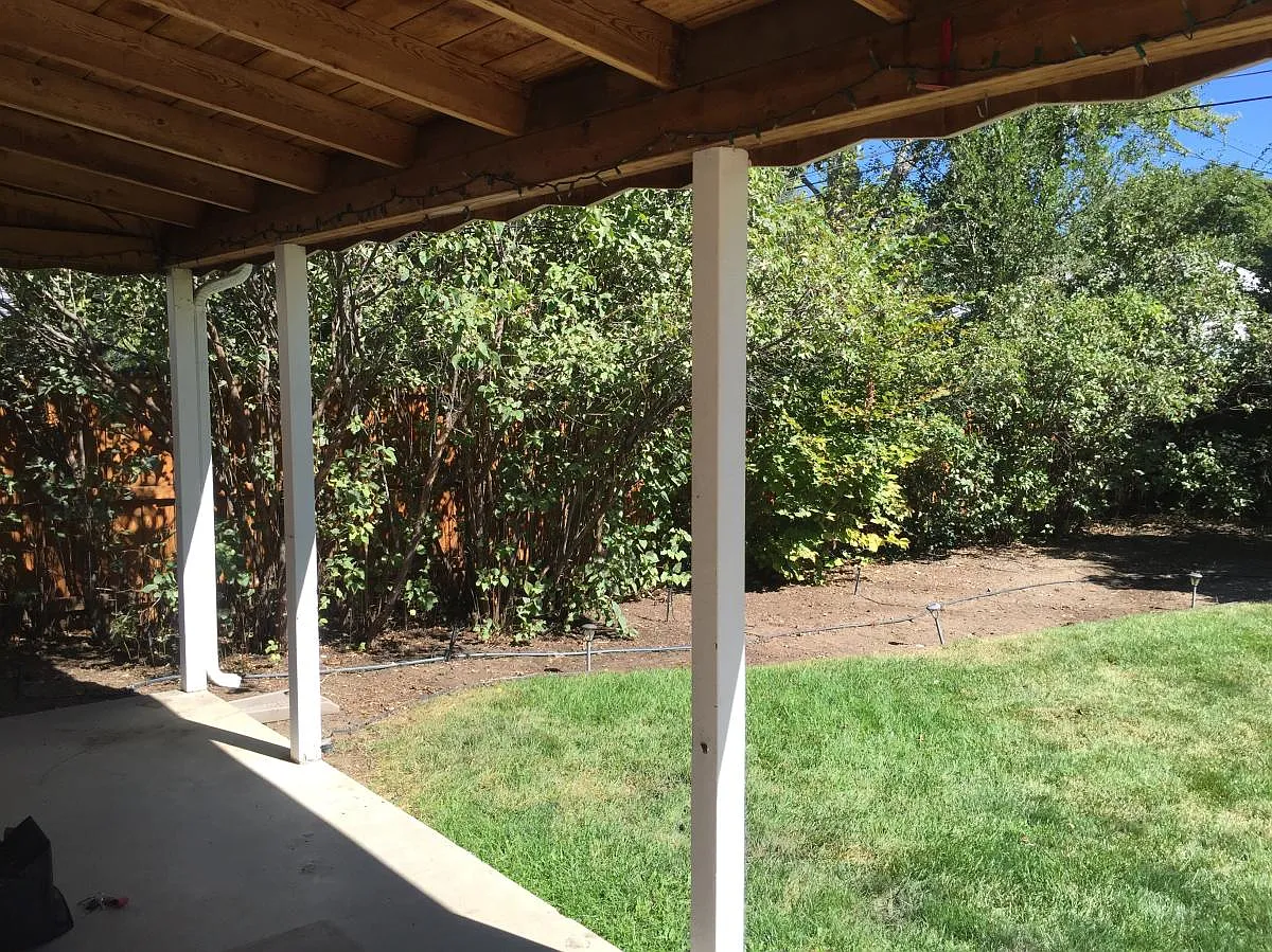 440 Olive Street — Photo 4
