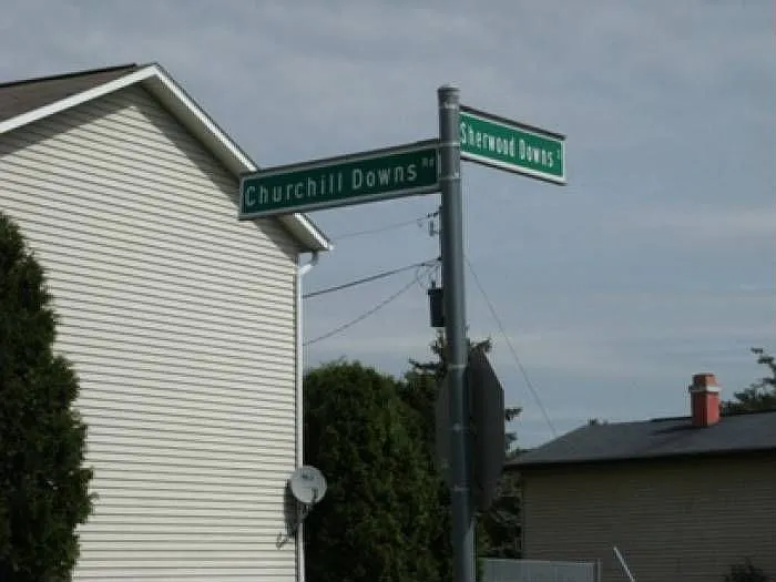Corner Yard