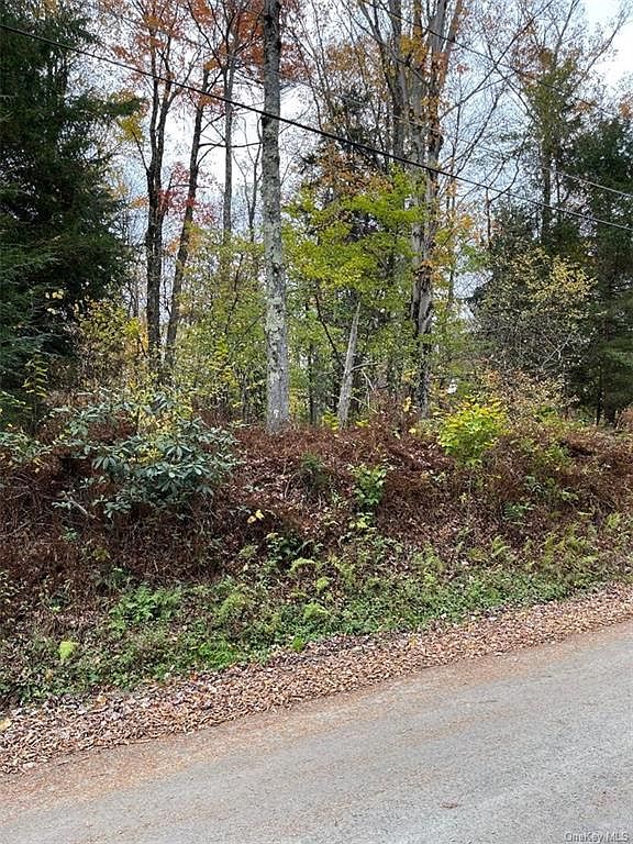 Park Drive, Parksville, NY 12768 Zillow