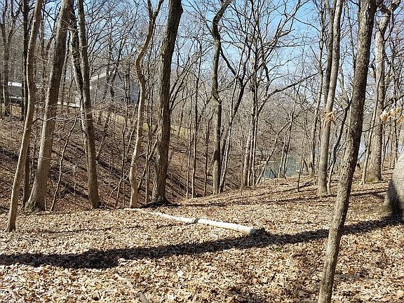 4th image of 1096 Lake Wildwood Dr