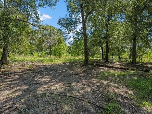 26092 Deerbrook Dr, Splendora, TX 77372