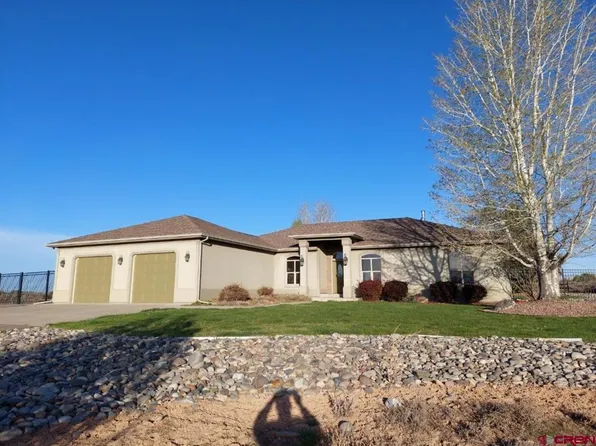 12583 Alon Road, Hotchkiss, CO 81419