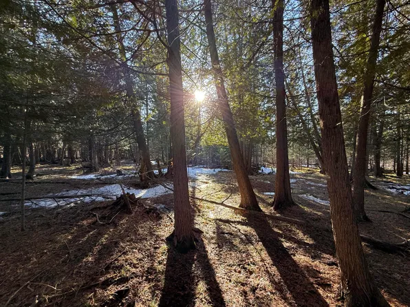 N Somers Rd, Lincoln, MI 48742