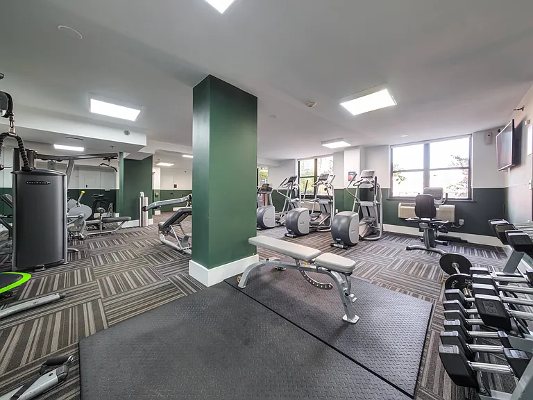 Free weights in fitness center