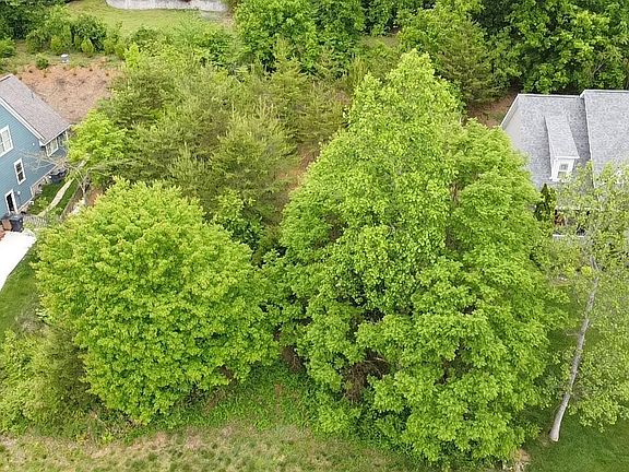 5th image of 449 Laurel Ridge
