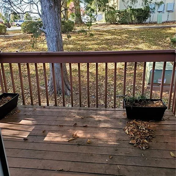 135 Columbine Dr #223 — Photo 9