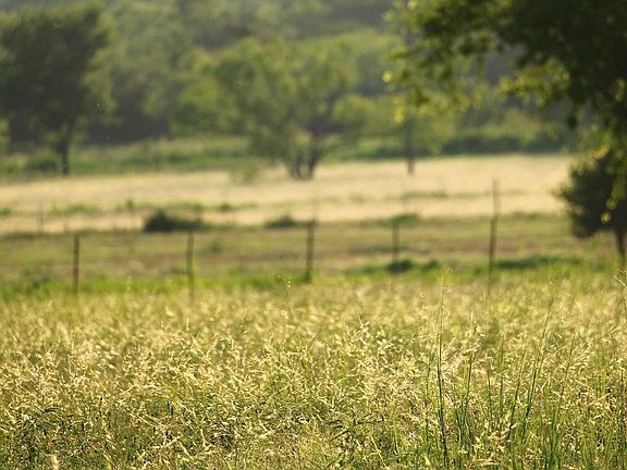 3rd image of T B D Hayes Rd