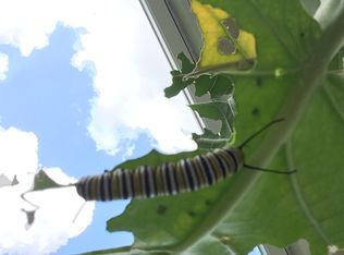 1424 Seagrape Cir, Weston, FL 33326