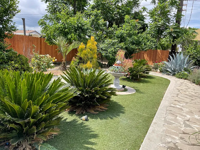 back yard