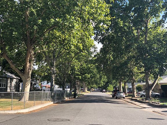 Tree-lined Barth Avenue