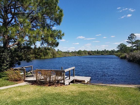 backyard view