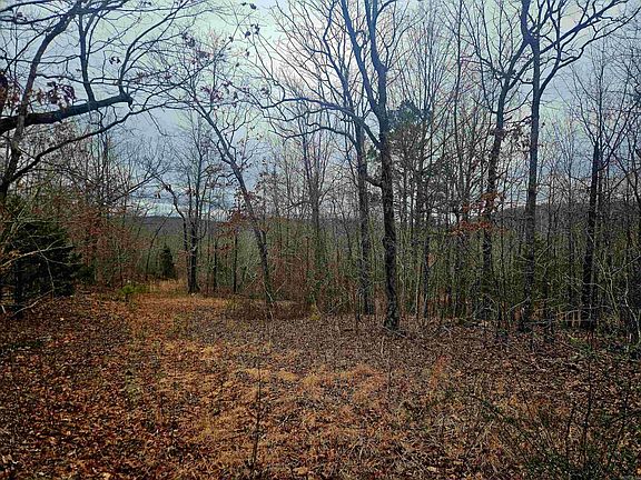 2nd image of 2726 Little Red River Rd