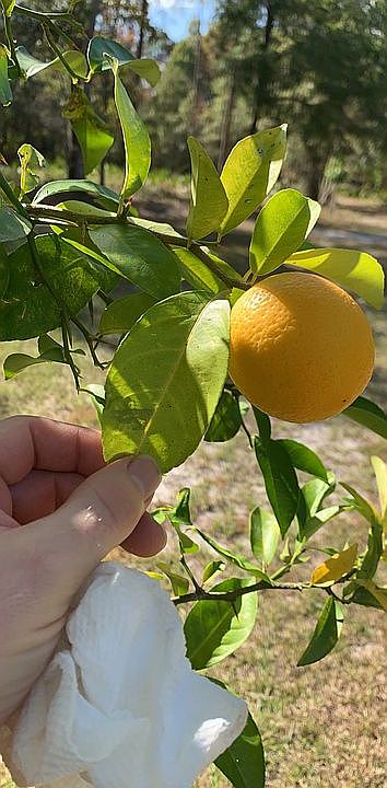 2nd image of 10607 Old Plank Rd