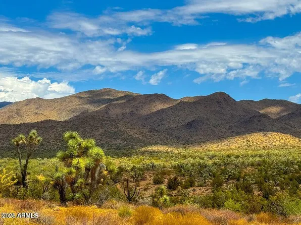TBD Sunset 160 Acres Drive #-, Yucca, AZ 86438