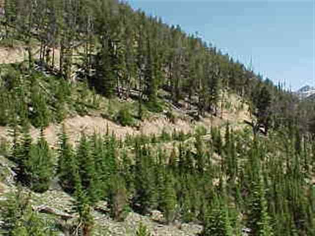 1st image of N A Pony Mining District