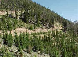 N A Pony Mining District, Ennis, MT 59729