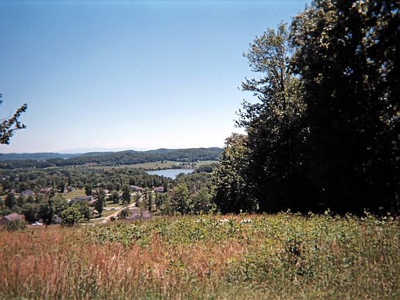 Mature trees, hardwoods